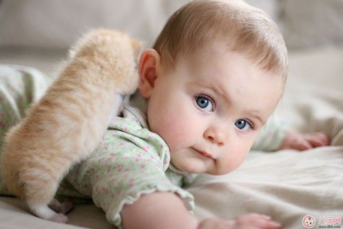 寶寶穿衣學(xué)問大 挑選衣物要謹(jǐn)慎