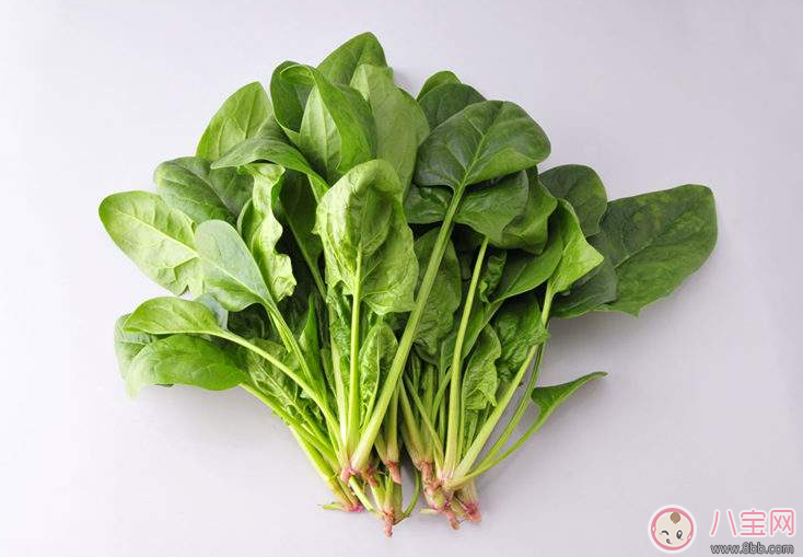 寶寶抵抗力不好怎么提高 快來看看這篇文章 寶寶抵抗力不好怎么提高 快來看看這篇文章