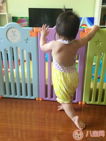 趙文卓luna寶寶學(xué)會走路 孩子走路怎么教 趙文卓luna寶寶學(xué)會走路 孩子走路怎么教