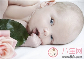 新生兒肺部有問題 可能是因為媽媽太胖 新生兒肺部有問題 可能是因為媽媽太胖