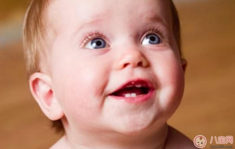 寶寶長牙順序 寶寶長牙特征(寶寶長牙癥狀) 寶寶長牙順序 寶寶長牙特征(寶寶長牙癥狀)