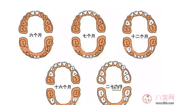 寶寶長牙順序 寶寶長牙特征(寶寶長牙癥狀) 寶寶長牙順序 寶寶長牙特征(寶寶長牙癥狀)