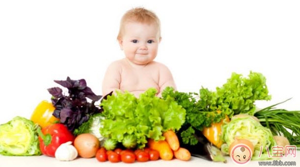 如何引導寶寶吃飯 教寶寶吃飯有妙招 如何引導寶寶吃飯 教寶寶吃飯有妙招