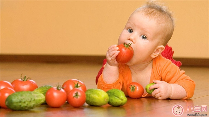 如何引導寶寶吃飯 教寶寶吃飯有妙招 如何引導寶寶吃飯 教寶寶吃飯有妙招