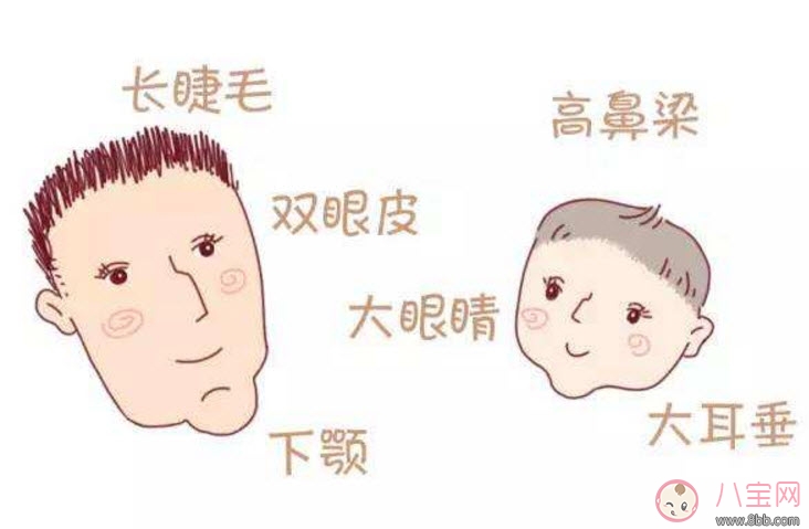 寶寶遺傳誰的基因多 寶寶的長相會遺傳誰的 寶寶遺傳誰的基因多 寶寶的長相會遺傳誰的