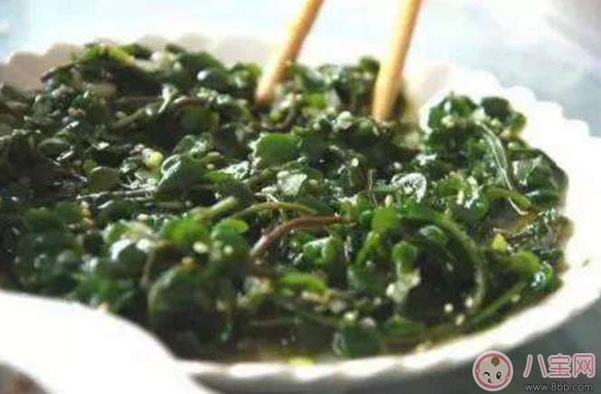 2017夏天孩子長痱子有什么偏方 去治痱子偏方有哪些 2017夏天孩子長痱子有什么偏方 去治痱子偏方有哪些