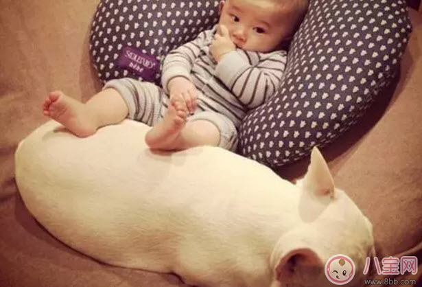 剛出生的嬰兒多少斤正常 寶寶的體重和智商有關(guān)嗎(越重智商越高)