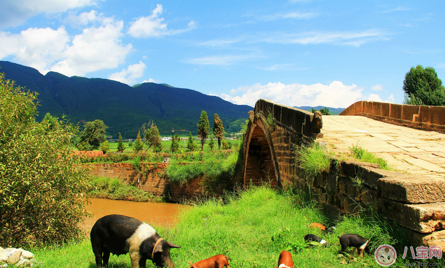 田亮森碟現(xiàn)身機(jī)場出行游玩 一家人出行需要準(zhǔn)備什么