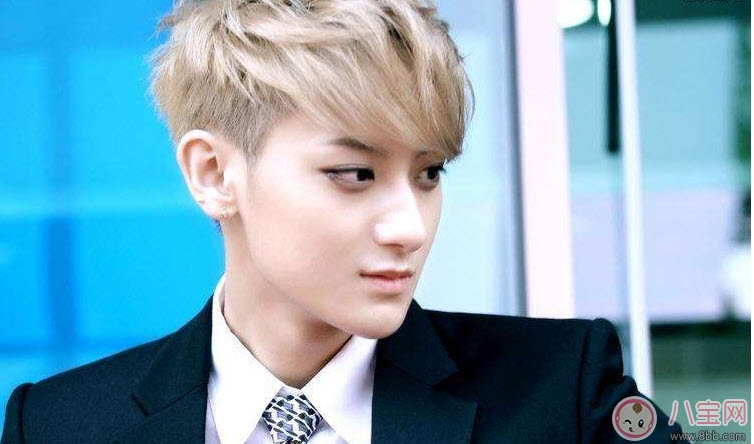 爸爸去哪兒5候選實(shí)習(xí)爸爸人氣榜，實(shí)習(xí)奶爸黃景瑜任嘉倫竇驍(前三)