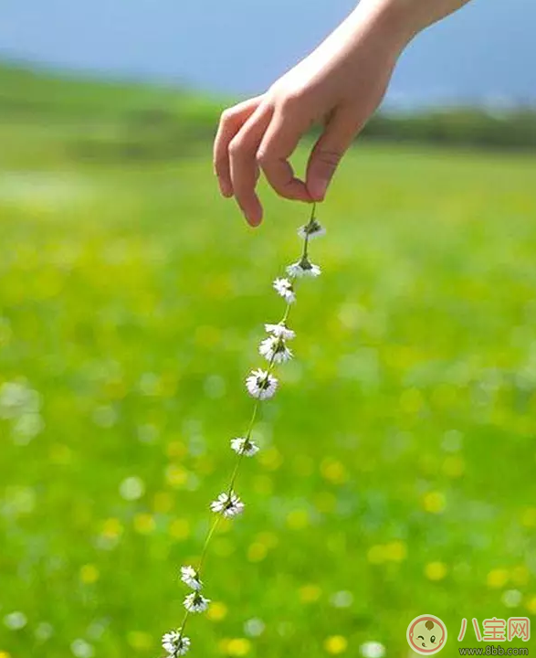 國慶節(jié)出游如何拍好一張萌寶照 怎么曬娃更加的有創(chuàng)意 國慶節(jié)出游如何拍好一張萌寶照 怎么曬娃更加的有創(chuàng)意
