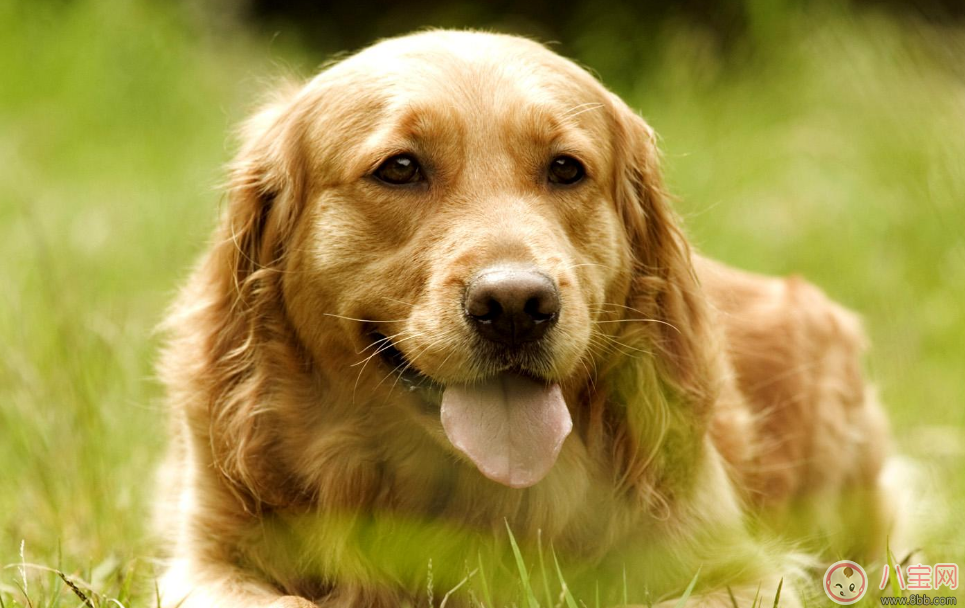 孩子自卑沒自信怎么辦 孩子沒自信如何幫他克服