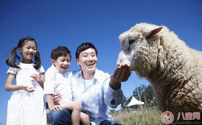 適合爸爸讀的胎教故事 準(zhǔn)爸爸胎教的方式有哪些 適合爸爸讀的胎教故事 準(zhǔn)爸爸胎教的方式有哪些