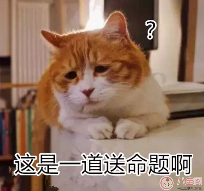 寶寶是熊孩子怎么辦？如何教育孩子不要妨礙他人呢？