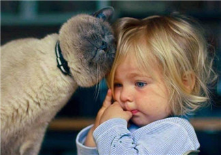 寶寶是熊孩子怎么辦？如何教育孩子不要妨礙他人呢？