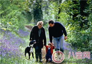 趙薇如何教育出乖巧小四月？趙薇的育兒經(jīng)是什么？