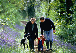 趙薇如何教育出乖巧小四月？趙薇的育兒經(jīng)是什么？