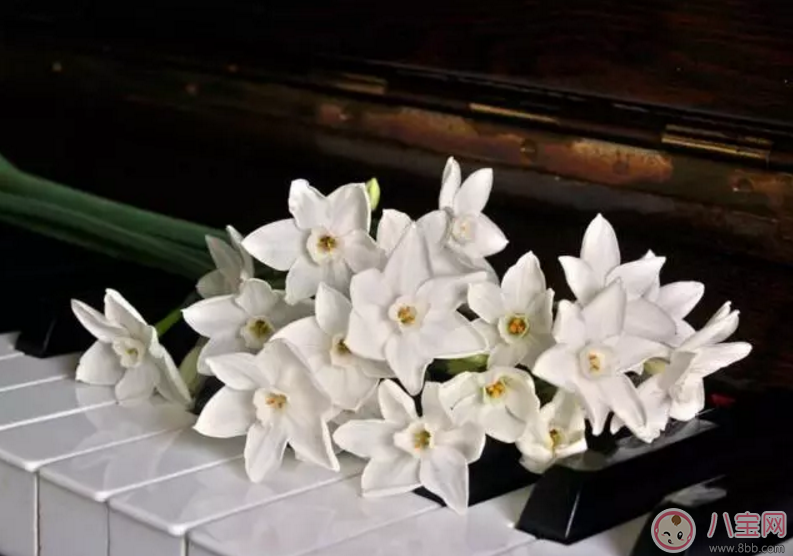 家長如何辨別培訓班師資造假 如何正確的選擇培訓班 家長如何辨別培訓班師資造假 如何正確的選擇培訓班