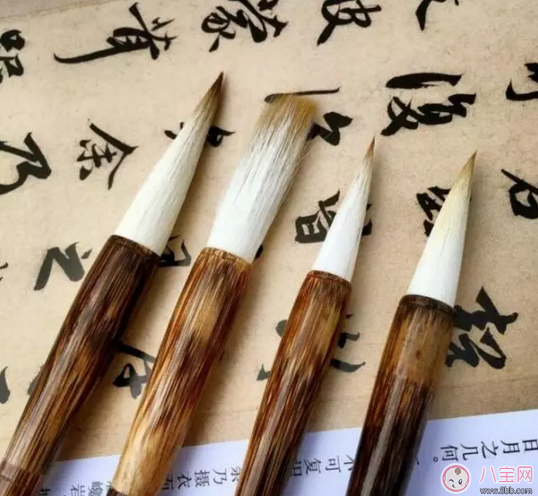 家長如何辨別培訓班師資造假 如何正確的選擇培訓班 家長如何辨別培訓班師資造假 如何正確的選擇培訓班