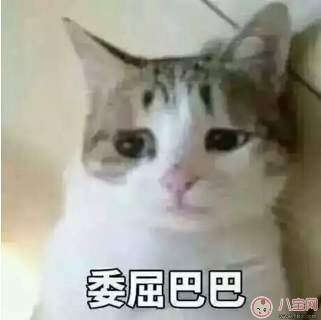 半數(shù)孩子不會剝殼 如何鍛煉孩子的自理能力