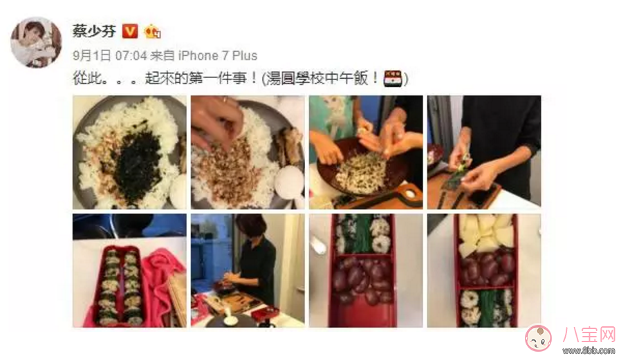 蔡少芬親手給娃做便當竟被噴 “病從口入”防線究竟在哪？