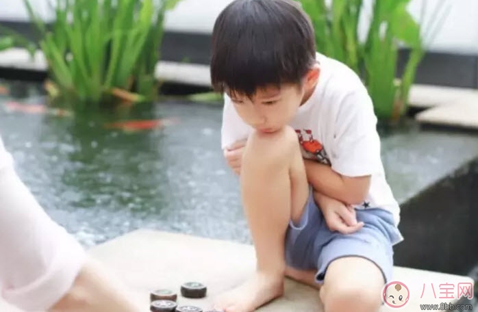 孩子學(xué)下棋的最佳年齡 孩子學(xué)象棋圍棋國際象棋哪種好