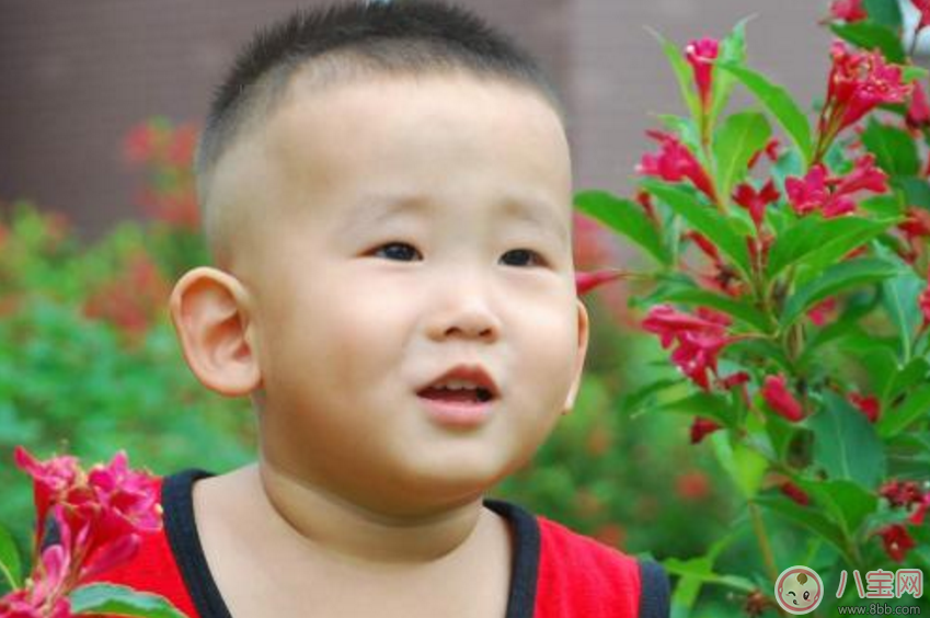 孩子膽小這樣做可以鍛煉膽子 勇敢的孩子氣質(zhì)好 孩子膽小這樣做可以鍛煉膽子 勇敢的孩子氣質(zhì)好