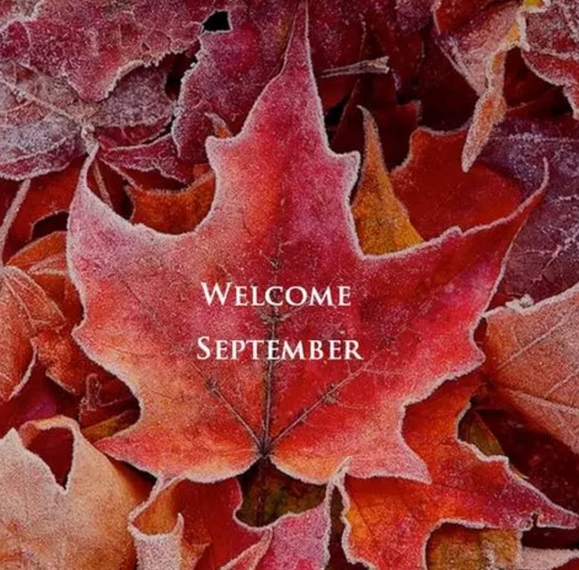 八月再見九月你好說說朋友圈 八月再見九月你好帶九月字圖片