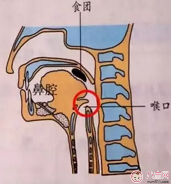 寶寶吃飯時爸爸的這個舉動 險些讓他送命！