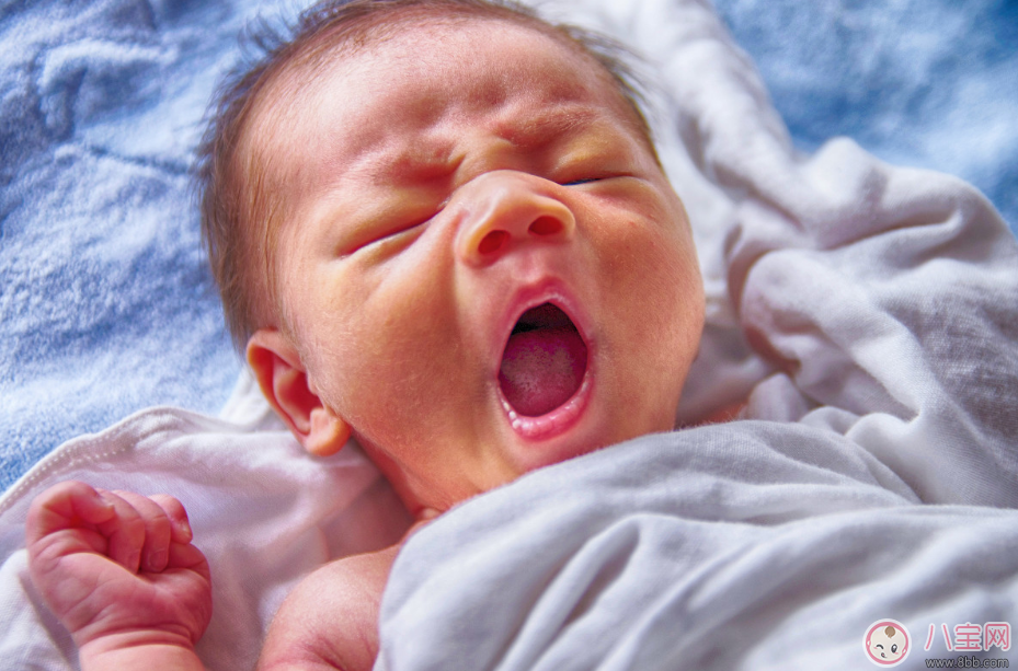 哄娃睡覺(jué)有高招 這些神曲保證一聽(tīng)就倒 哄娃睡覺(jué)有高招 這些神曲保證一聽(tīng)就倒