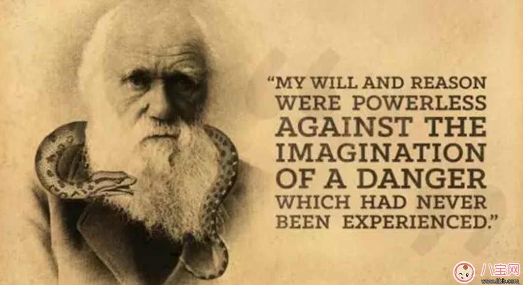 2017七夕節(jié)文藝匯演寶寶怯場(chǎng)原因