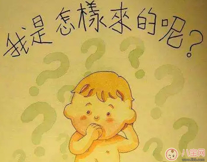 兒童性教育書單排行榜 男寶寶女寶寶性教育繪本推薦 兒童性教育書單排行榜 男寶寶女寶寶性教育繪本推薦