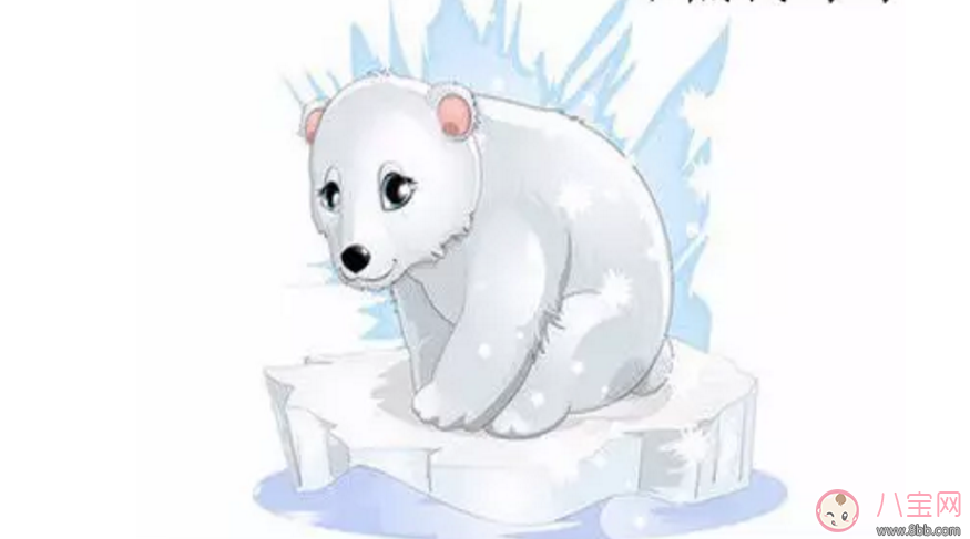 睡前故事  小熊找媽媽