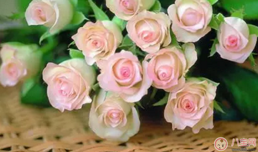 2017七夕節(jié)應(yīng)該送老婆什么禮物最有心？