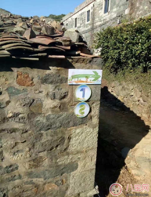 爸爸去哪兒5什么時候播 爸爸去哪兒5播出時間