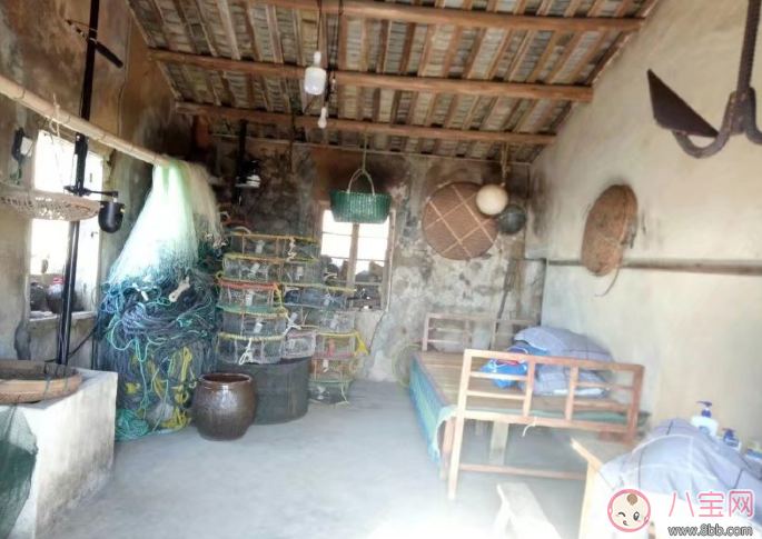 爸爸去哪兒5什么時候播 爸爸去哪兒5播出時間