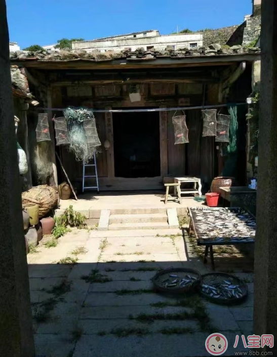 爸爸去哪兒5什么時候播 爸爸去哪兒5播出時間