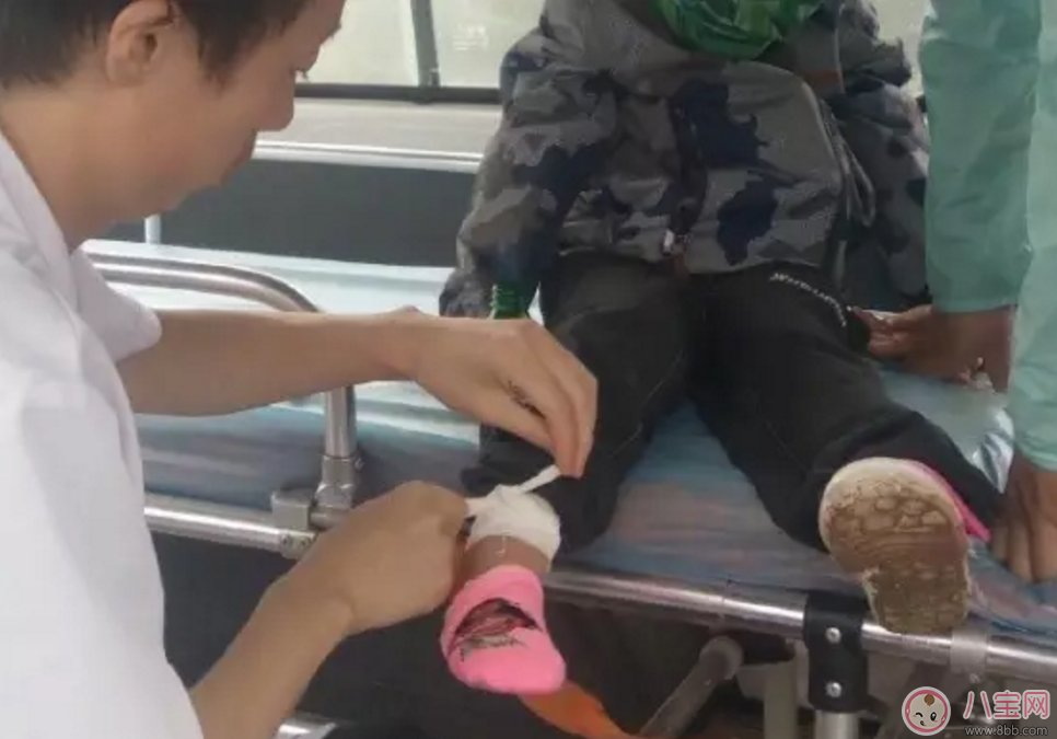 樂(lè)嘉帶4歲女兒穿越沙漠徒步76公里 女兒腿上發(fā)滿(mǎn)皰疹