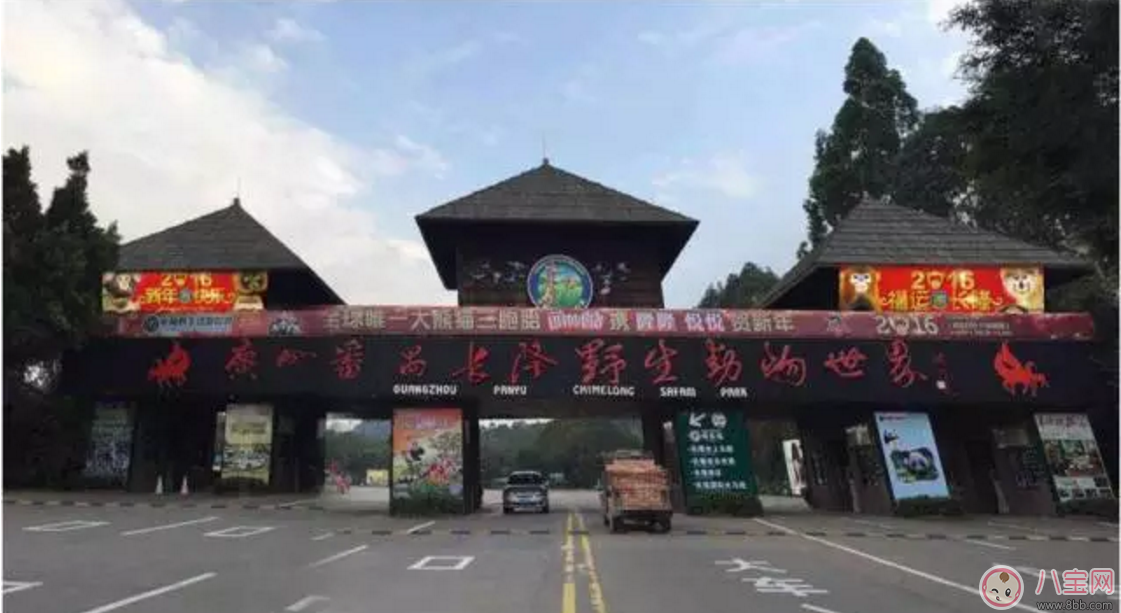 2017七夕節(jié)全家出游 看看長隆親子攻略 2017七夕節(jié)全家出游 看看長隆親子攻略