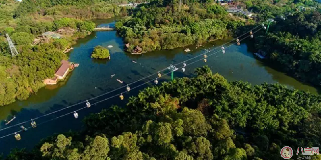 2017七夕節(jié)全家出游 看看長隆親子攻略 2017七夕節(jié)全家出游 看看長隆親子攻略