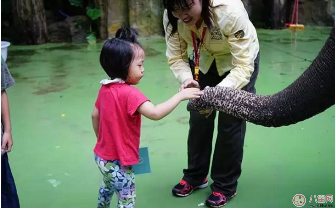 2017七夕節(jié)全家出游 看看長隆親子攻略 2017七夕節(jié)全家出游 看看長隆親子攻略