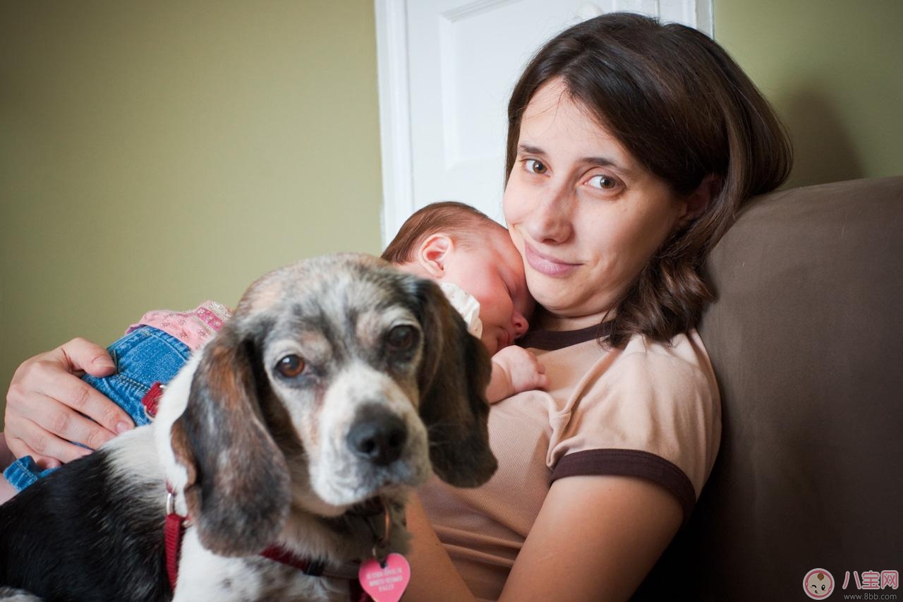 《放開我北鼻》Jackson性格 正確看待孩子的嫉妒 《放開我北鼻》Jackson性格 正確看待孩子的嫉妒