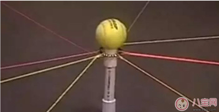 如何提高寶寶專注力 提高寶寶專注力的游戲有哪些 如何提高寶寶專注力 提高寶寶專注力的游戲有哪些