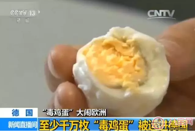 毒雞蛋對(duì)歐洲影響很大 中國(guó)的雞蛋還能吃嗎