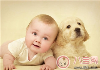 寶寶自閉癥怎么辦 如何讓自閉癥寶寶健康成長 寶寶自閉癥怎么辦 如何讓自閉癥寶寶健康成長