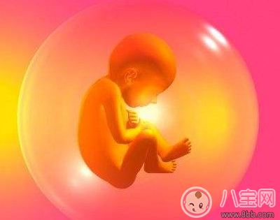 胎寶寶生長過程中能聽見外面的聲音 胎寶寶喜歡聽什么聲音 胎寶寶生長過程中能聽見外面的聲音 胎寶寶喜歡聽什么聲音