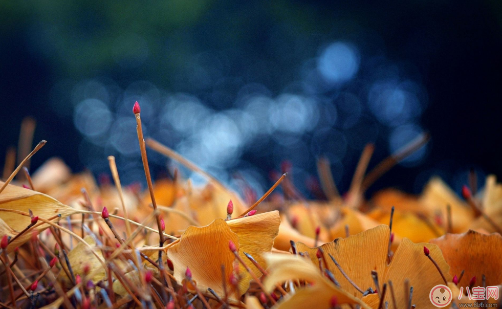 立秋來了為什么還是這么熱 我一定過了一個(gè)假的立秋