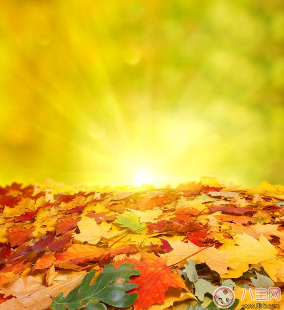 天氣這么熱立秋之后會降溫嗎 秋老虎究竟是什么 天氣這么熱立秋之后會降溫嗎 秋老虎究竟是什么