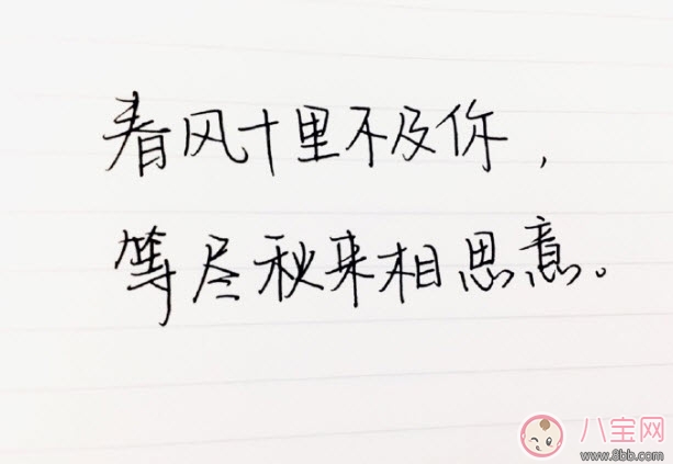 春風(fēng)體是什么意思 春風(fēng)十里不如你春風(fēng)體挑戰(zhàn)