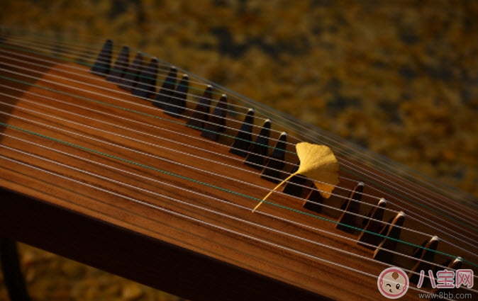 小孩子學(xué)什么樂器好 適合孩子學(xué)的樂器有哪些(孩子樂器啟蒙)