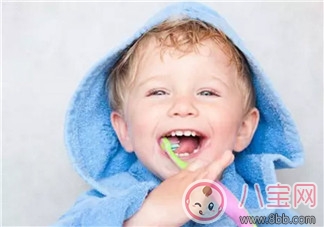 寶寶不愛刷牙 聽聽音樂故事小熊拔牙 寶寶不愛刷牙 聽聽音樂故事小熊拔牙